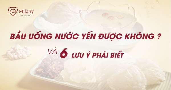 Bầu uống nước yến được không