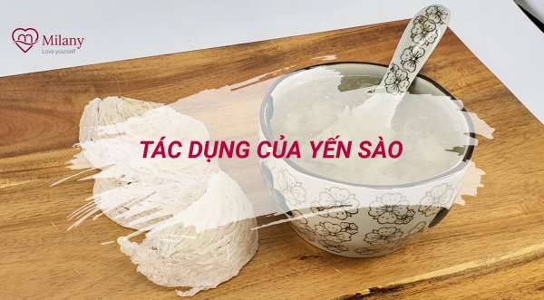 Tác dụng của yến sào