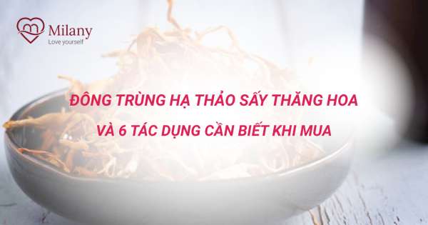 Đông trùng hạ thảo sấy thăng hoa