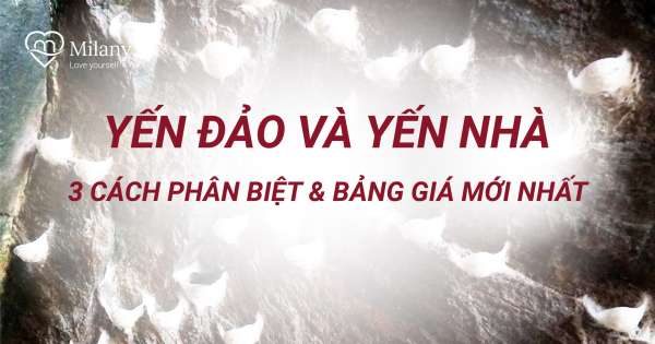 Yến đảo và yến nhà - 3 cách phân biệt & bảng giá mới nhất