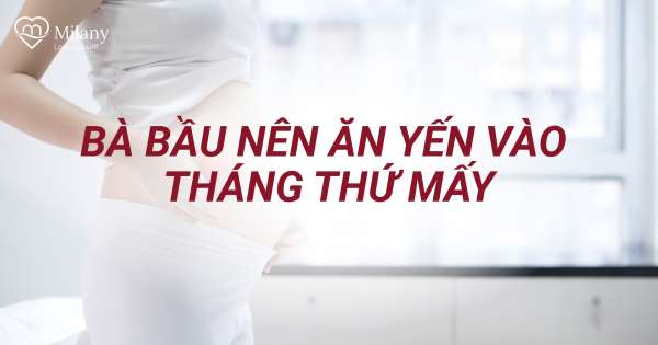 Bà bầu nên ăn yến vào tháng thứ mấy