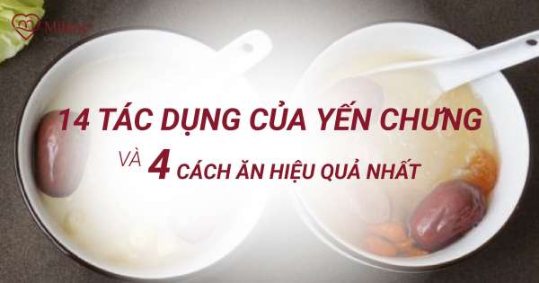 Tác dụng của yến chưng