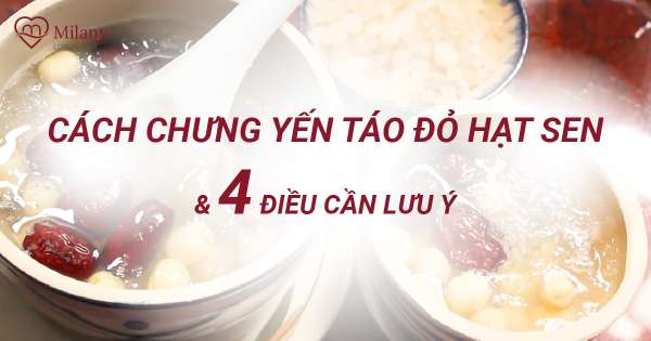 Cách chưng yến táo đỏ hạt sen