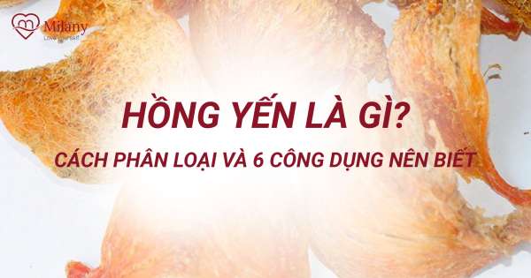 Hồng Yến là gì? Cách phân biệt và 6 công dụng nên biết