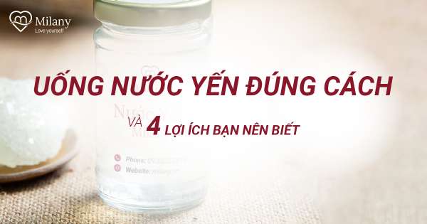 Uống nước yến đúng cách