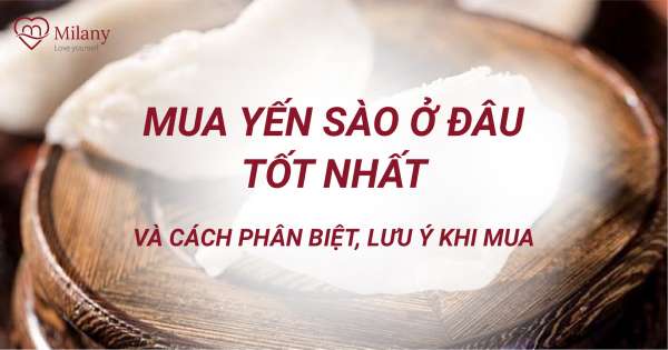 Mua yến sào ở đâu?