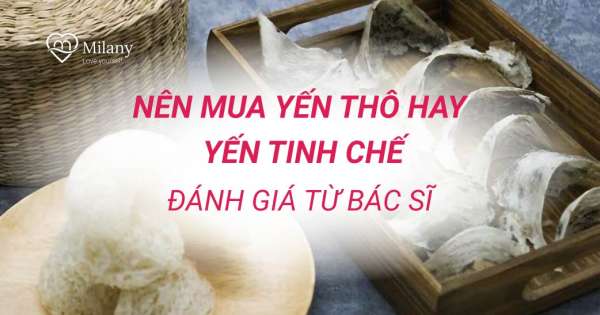 Nên mua yến thô hay yến tinh chế