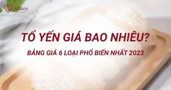 Giá tổ yến 2024: Cập nhật mới nhất theo thị trường