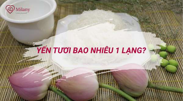 Yến tươi bao nhiêu 1 lạng