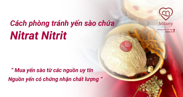 Nitrat và Nitrit trong yến sào: Nguy cơ và cách phòng tránh