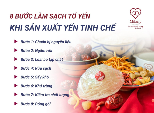 Quy trình tinh chế tổ yến: Hiệu quả và chất lượng