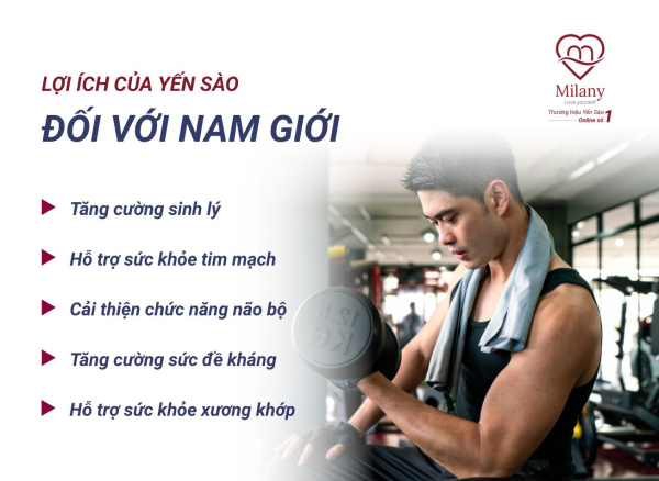 Tác dụng của yến sào với nam giới: Lợi ích bất ngờ