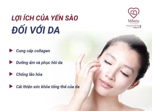 Ăn tổ yến có đẹp da hay không? Giải mã bí mật đằng sau