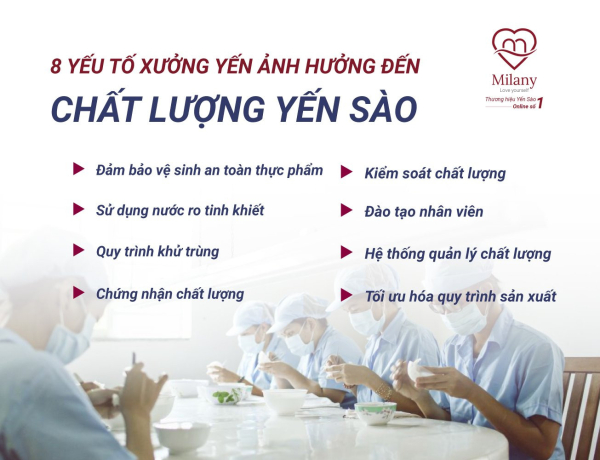 Mở xưởng gia công yến sào - Bí quyết tránh thất bại!