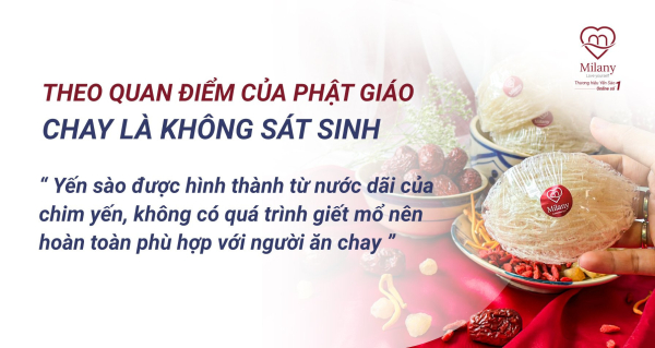 Yến sào là chay hay mặn? Chia sẻ từ chuyên gia