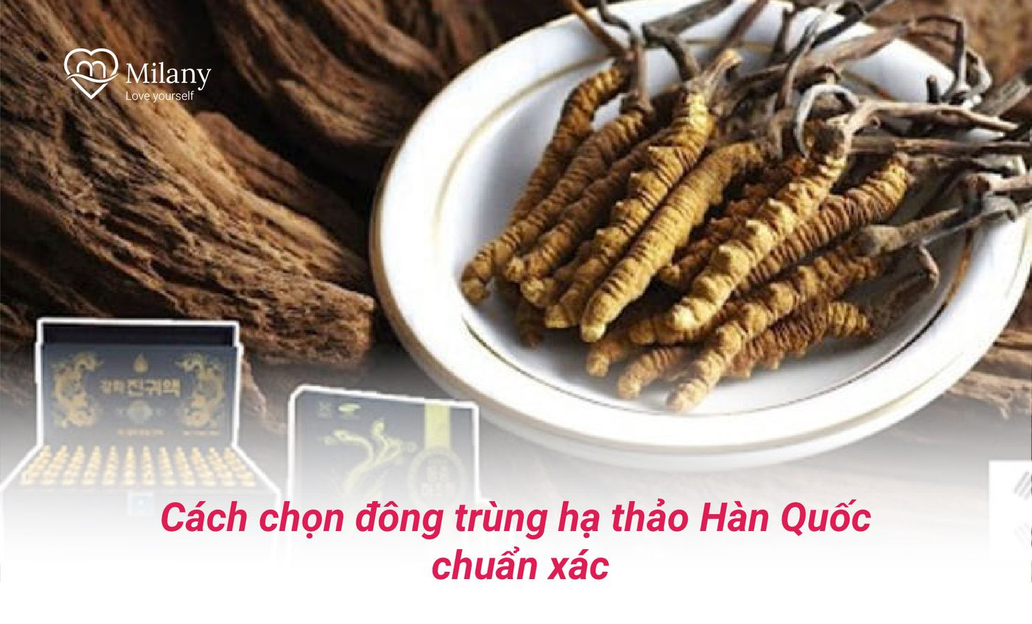 cach chon dong trung ha thao han quoc