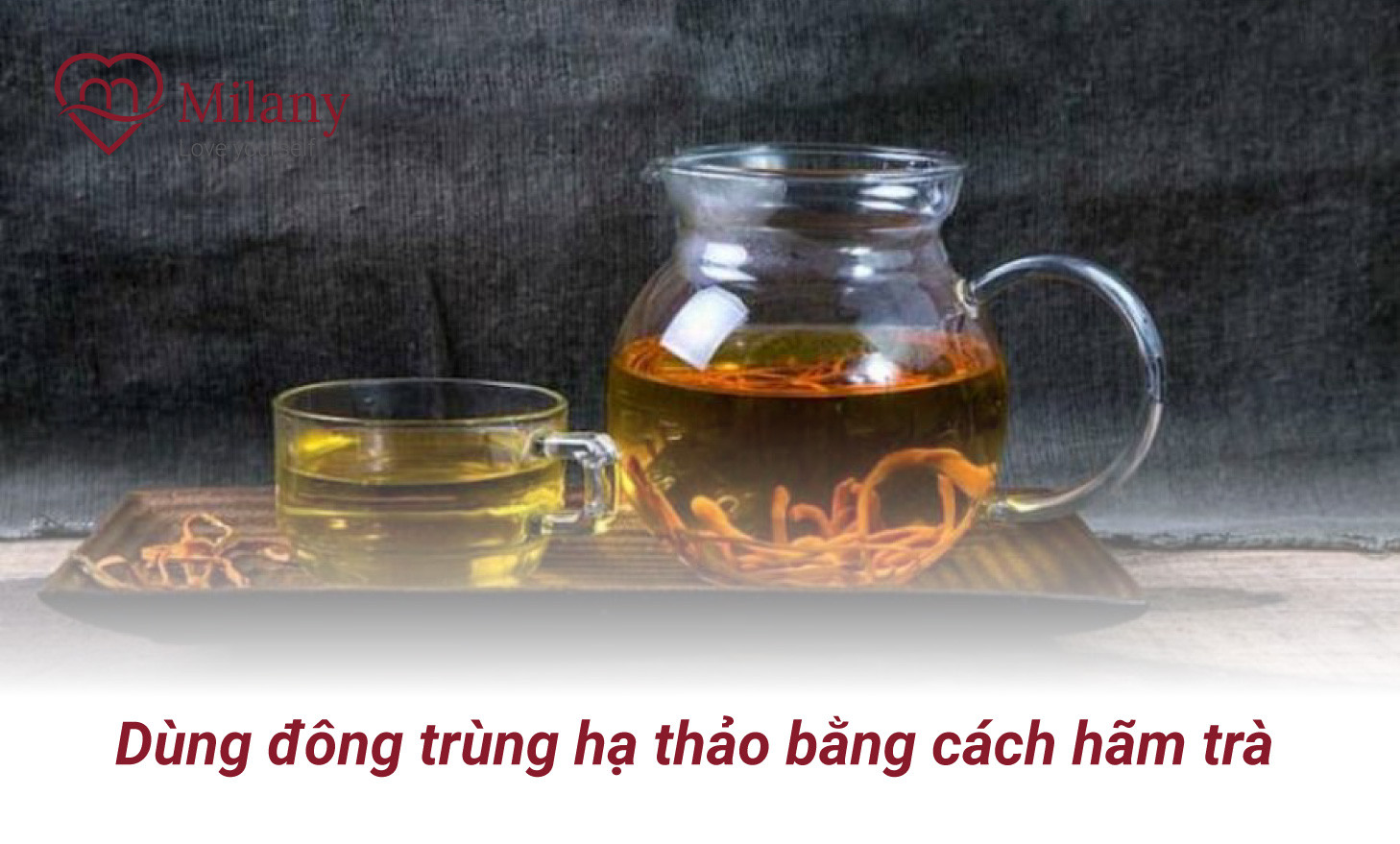cach dung dong trung ha thao giam can