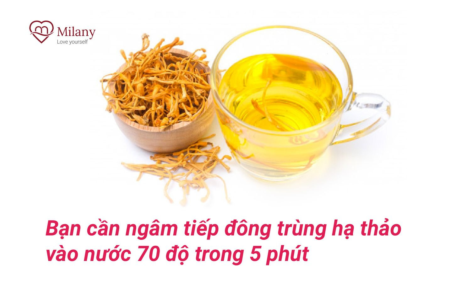 cach dung dong trung ha thao