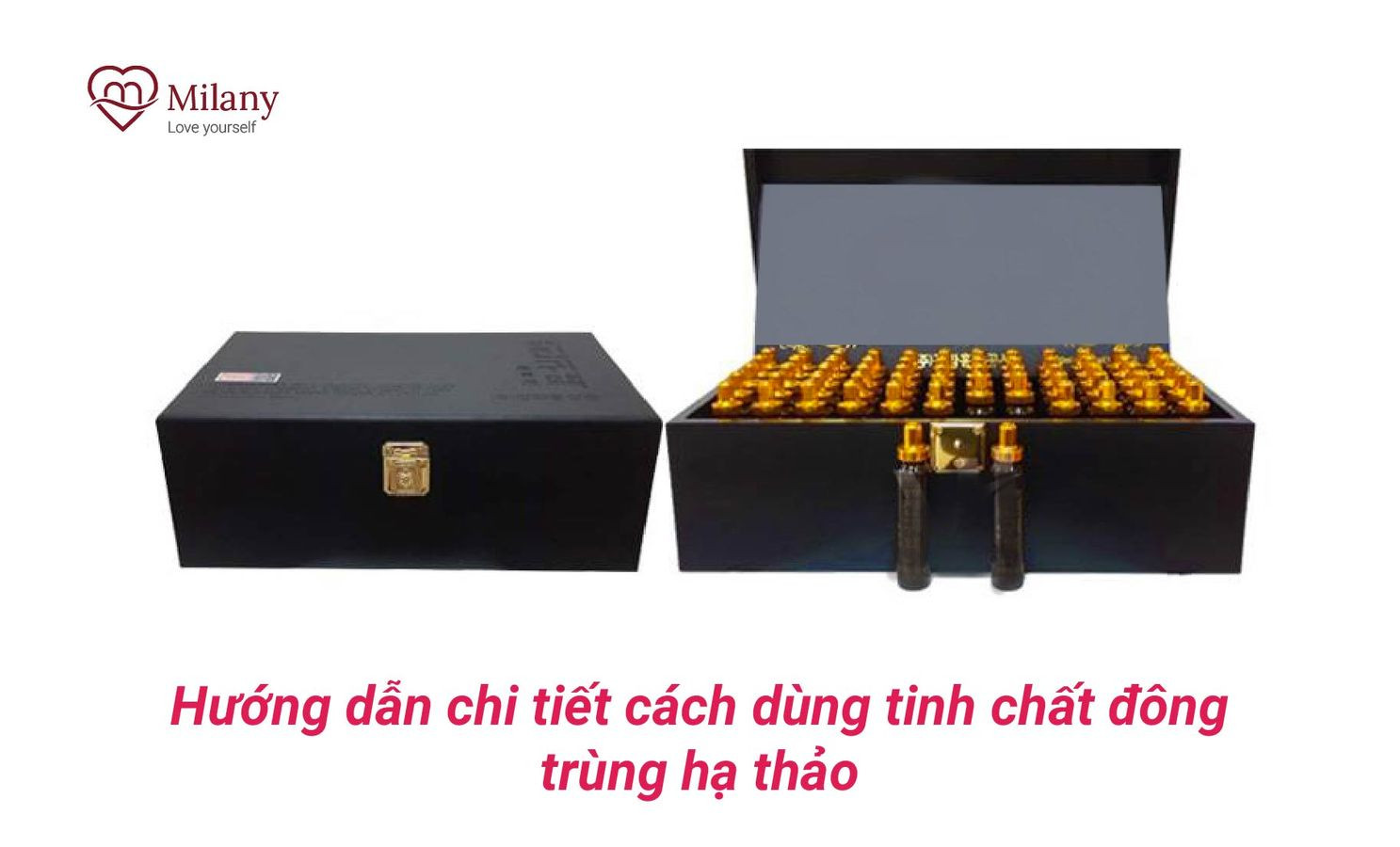 cach-dung-tinh-chat-dong-trung-ha-thao