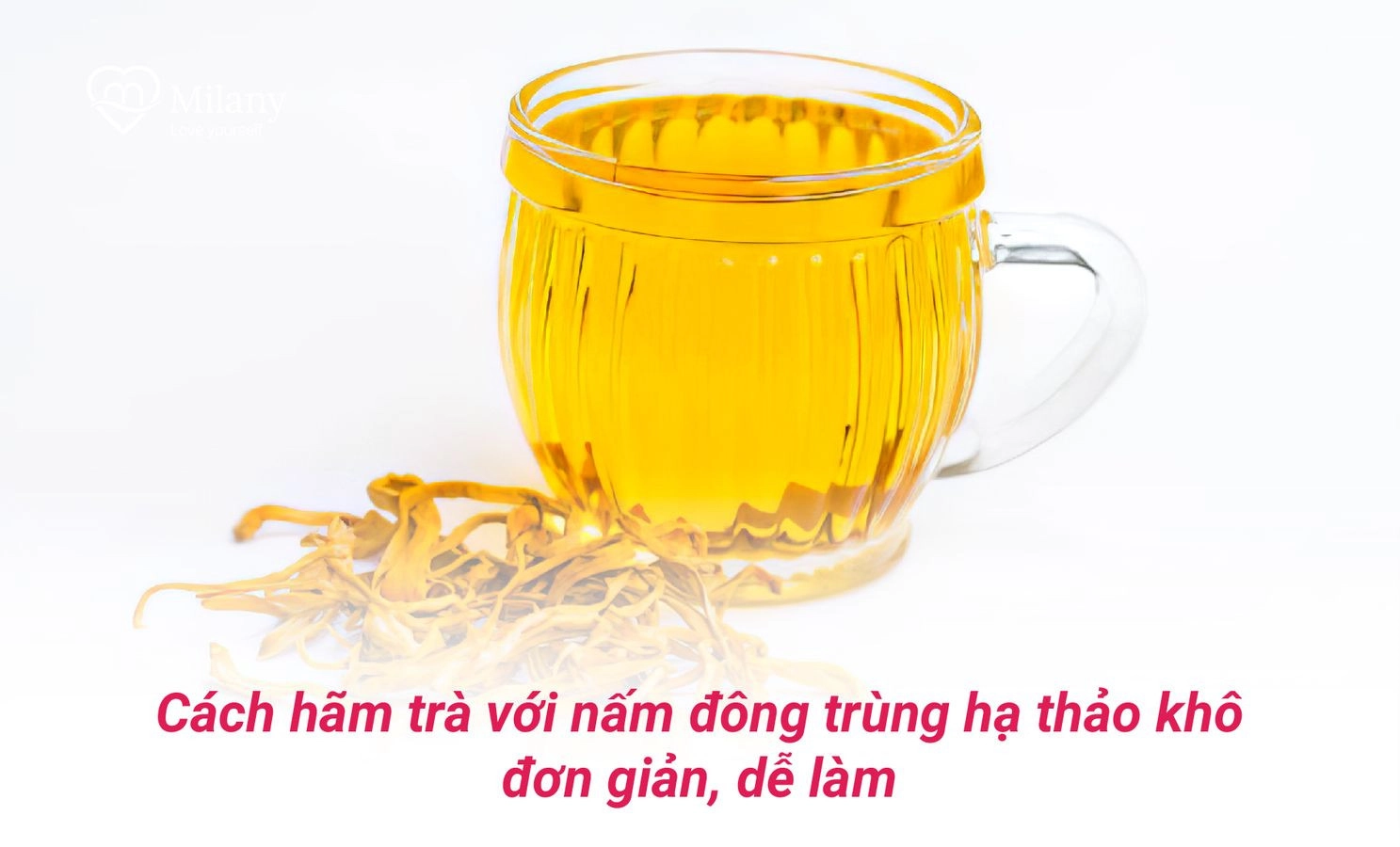 6 Cách pha đông trùng hạ thảo khô thơm ngon & 4 lưu ý cần biết | Milany