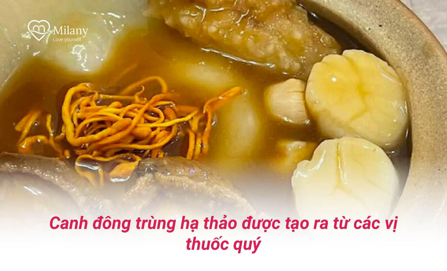 canh dong trung ha thao duoc tao ra tu cac vi thuoc quy
