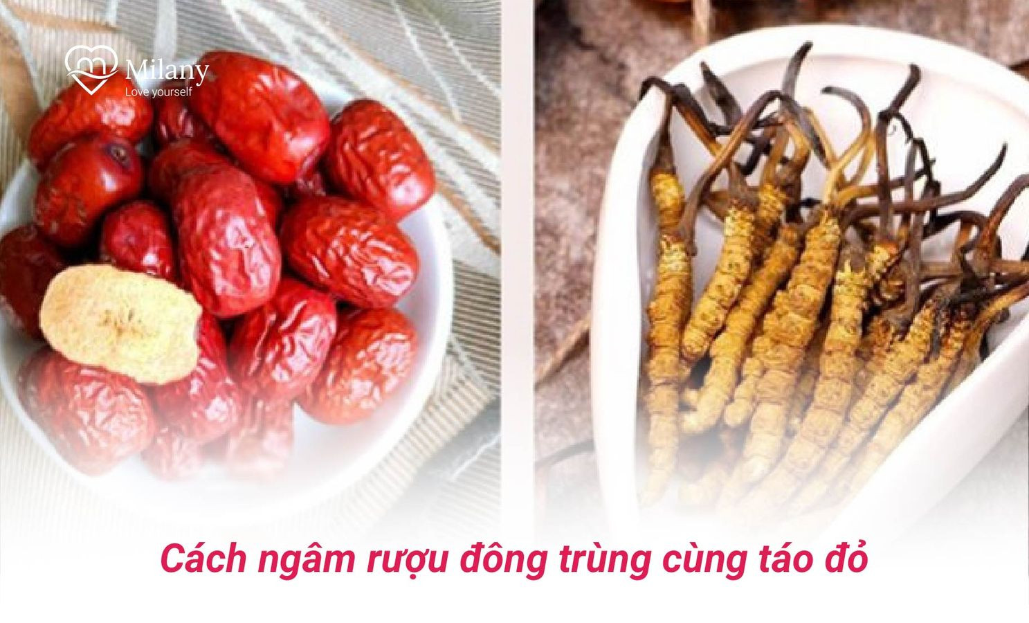 cach ngam ruou dong trung ha thao voi tao do