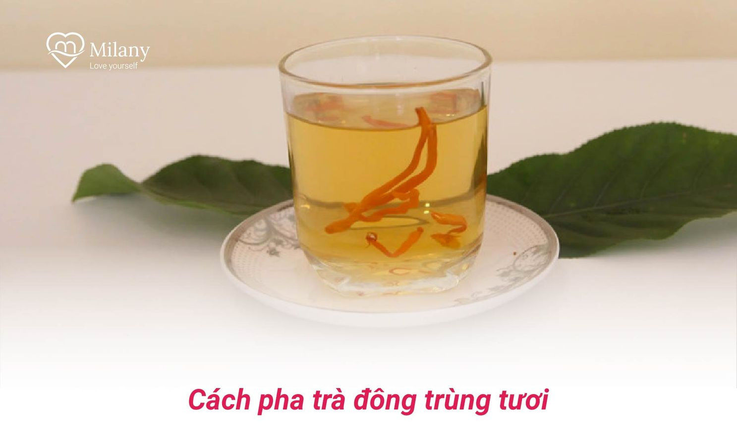 cach pha tra dong trung ha thao