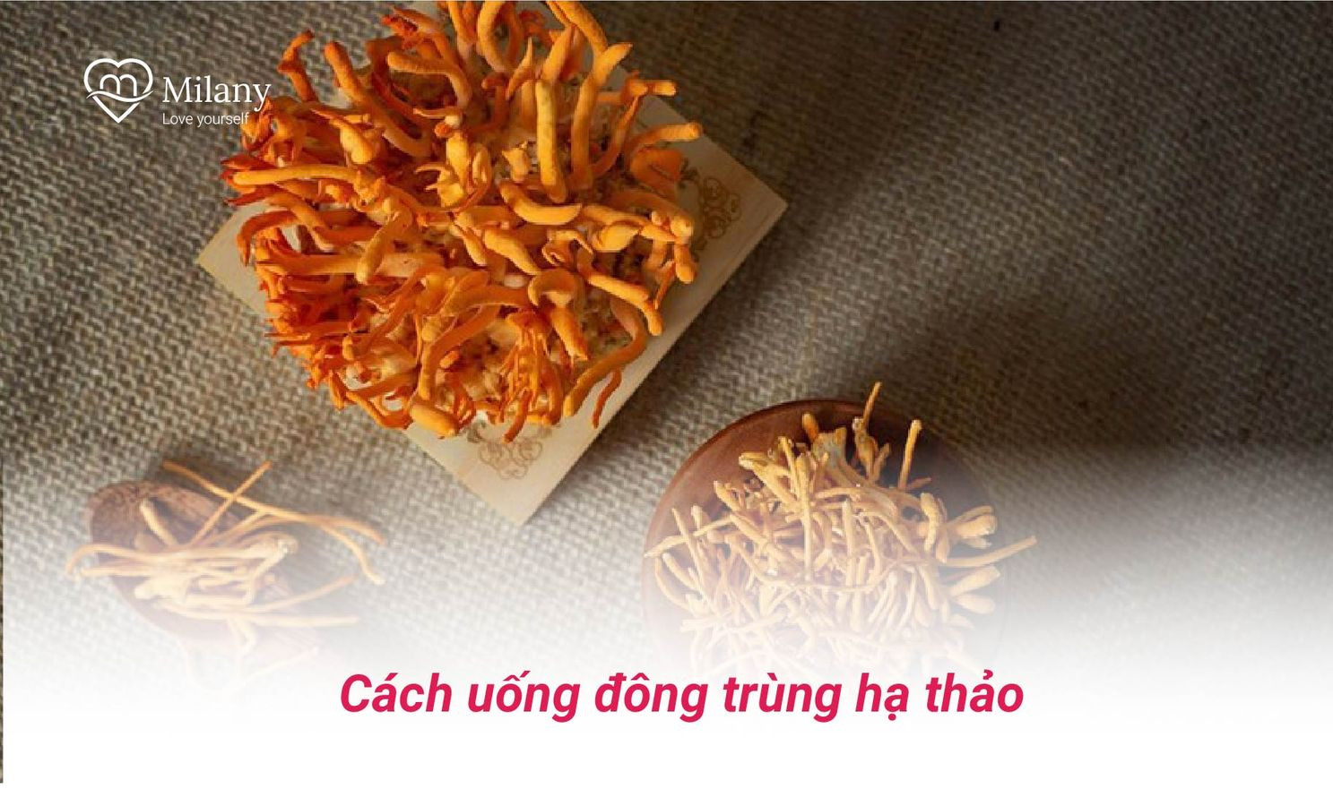 cach uong dong trung ha thao nuoc