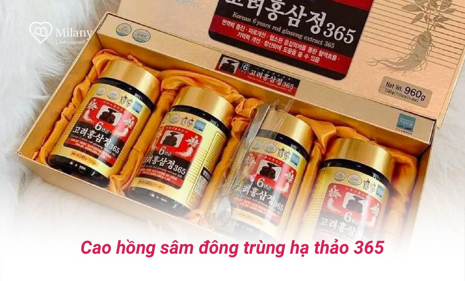 cao-hong-sam-dong-trung-ha-thao-365