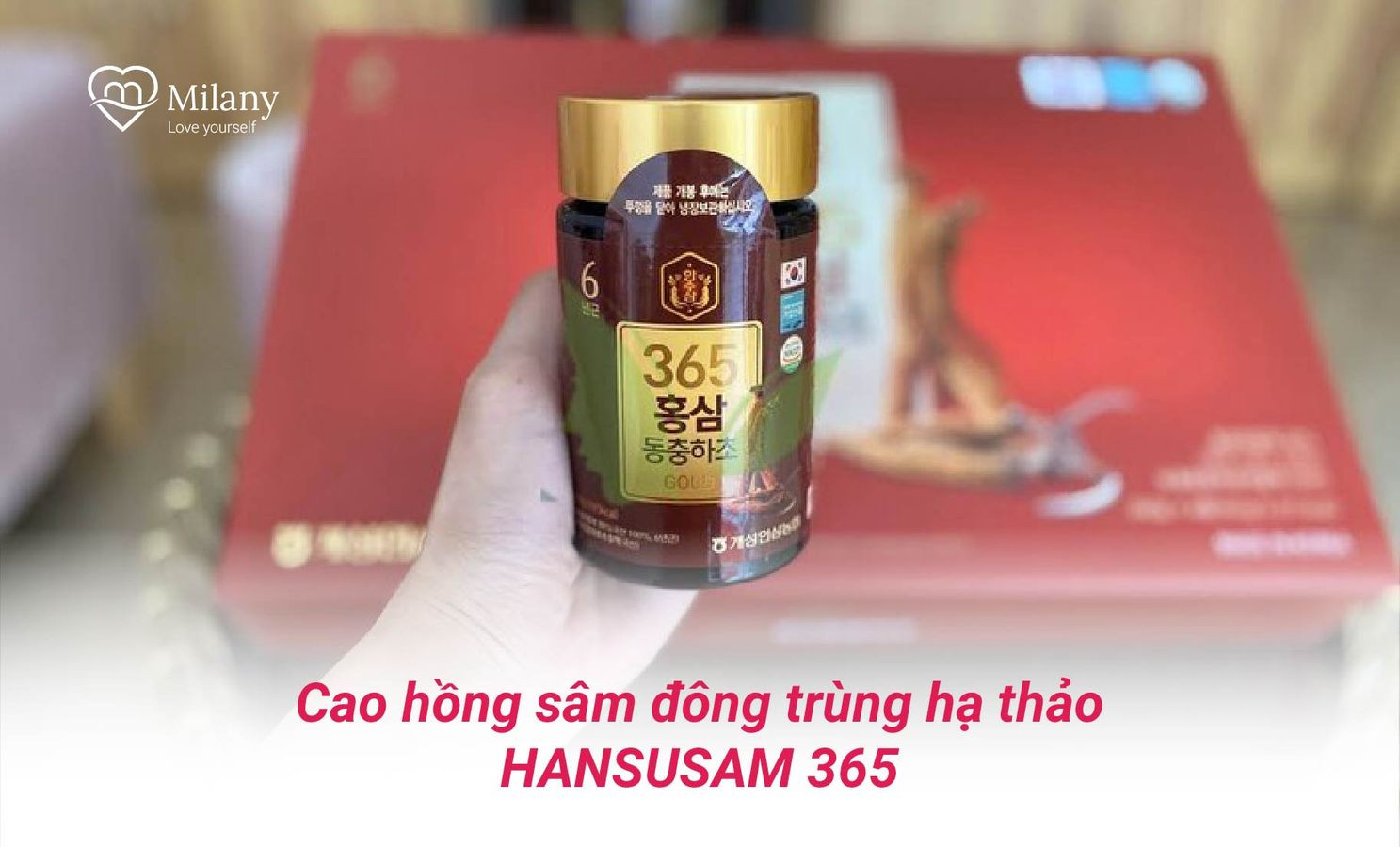 cao-sam-dong-trung-ha-thao-hansusam-365