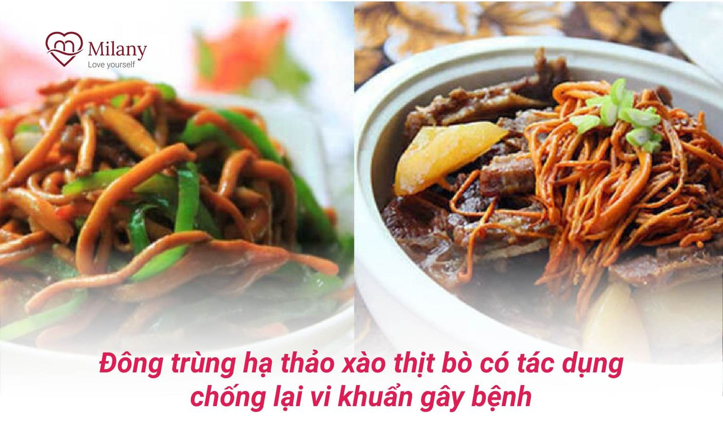 che bien dong trung ha thao voi thit bo