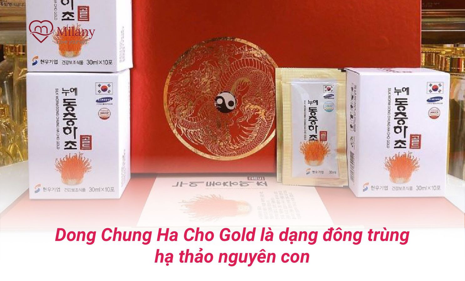 dong trung ha thao gold