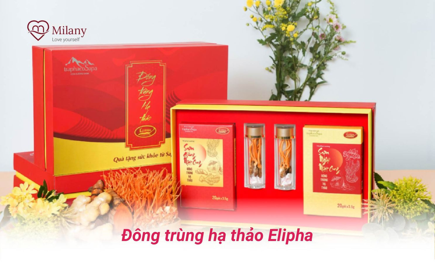 dong-trung-ha-thao-elipha-milany
