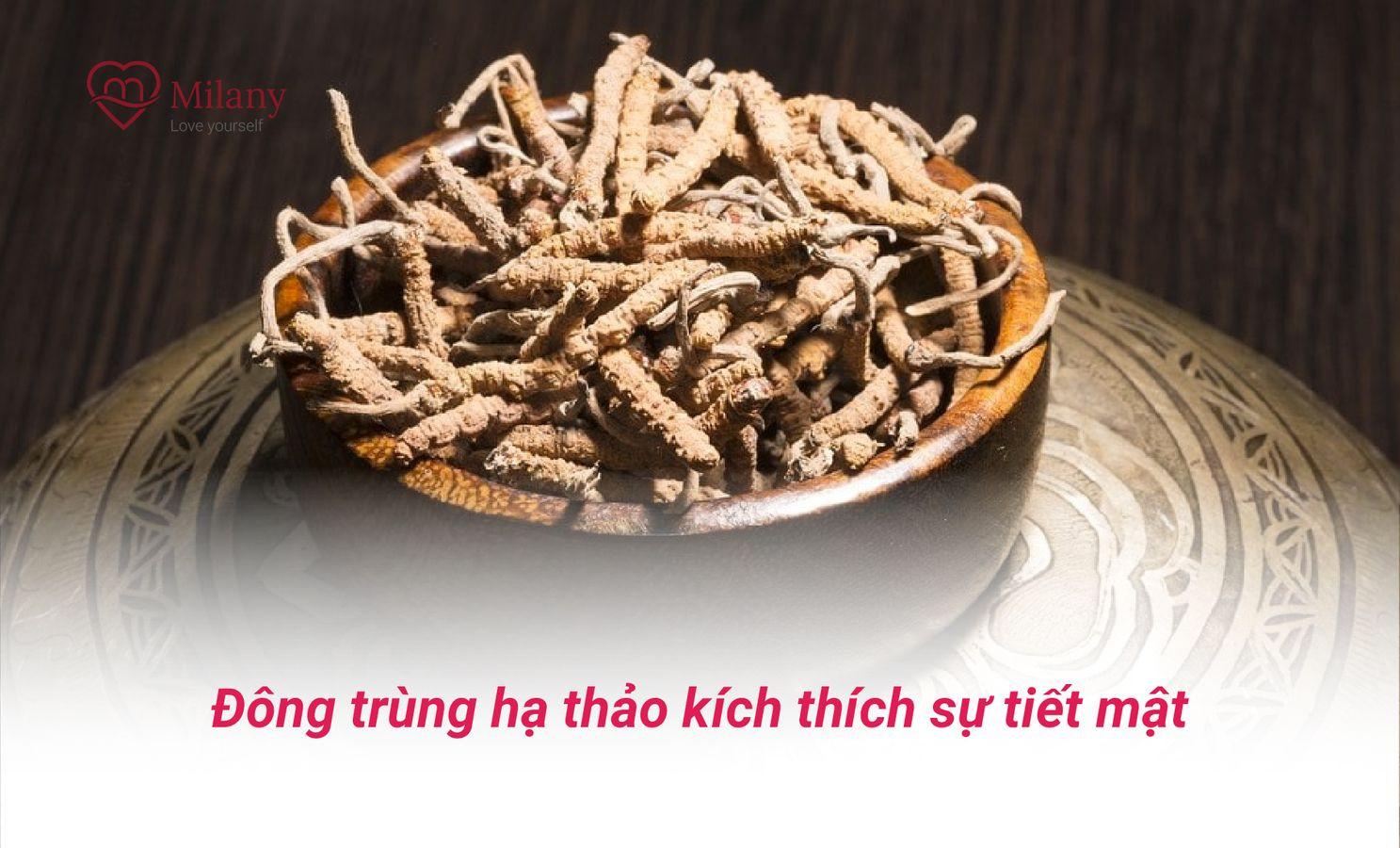 dong trung ha thao kich thich su tiet mat