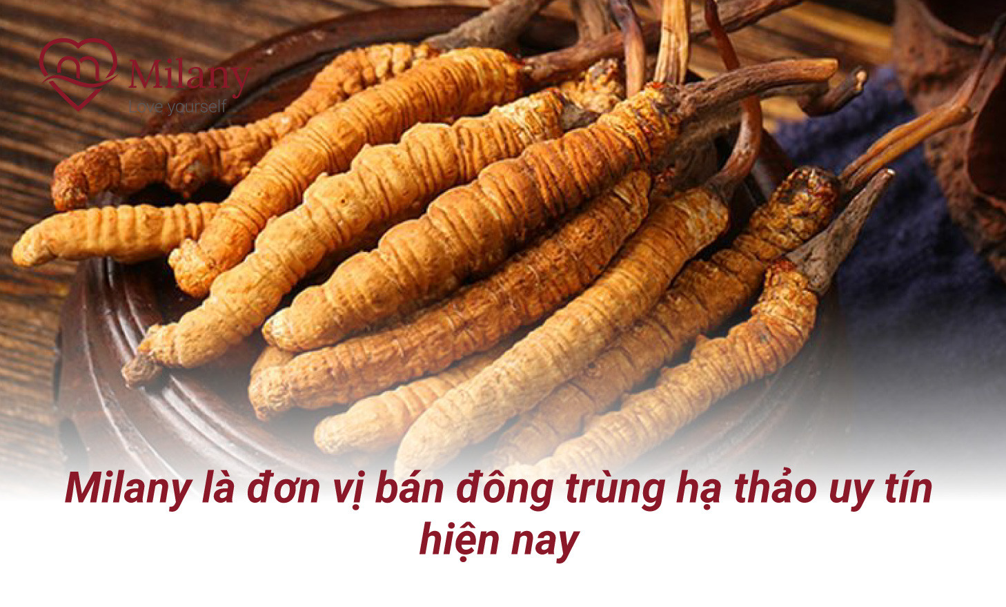 dong trung ha thao milany