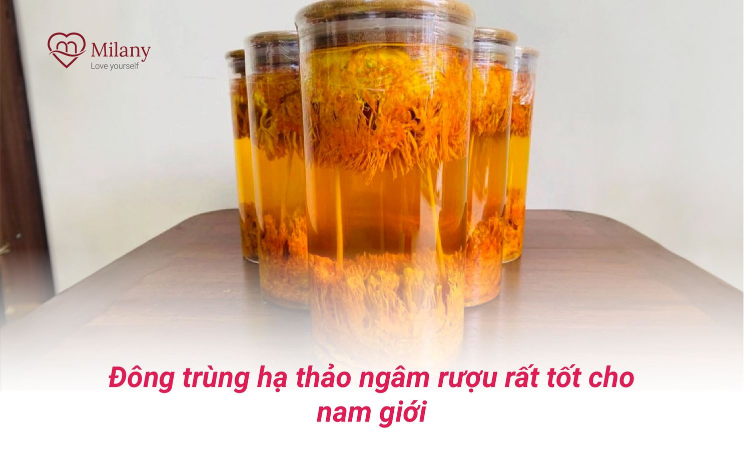 dong trung ha thao ngam ruou