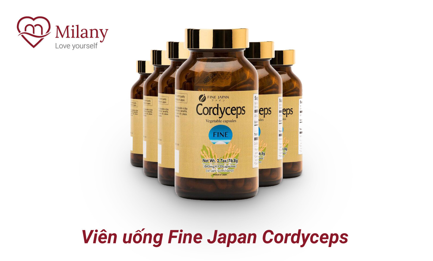 fine japan cordyceps