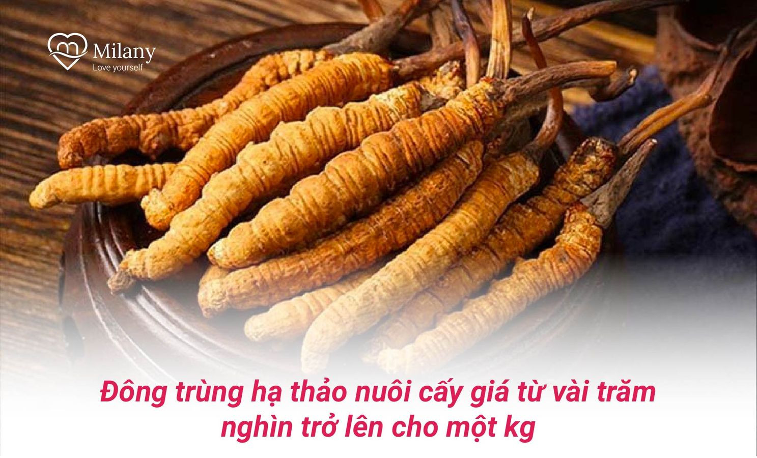 gia-dong-trung-ha-thao-nuoi-cay