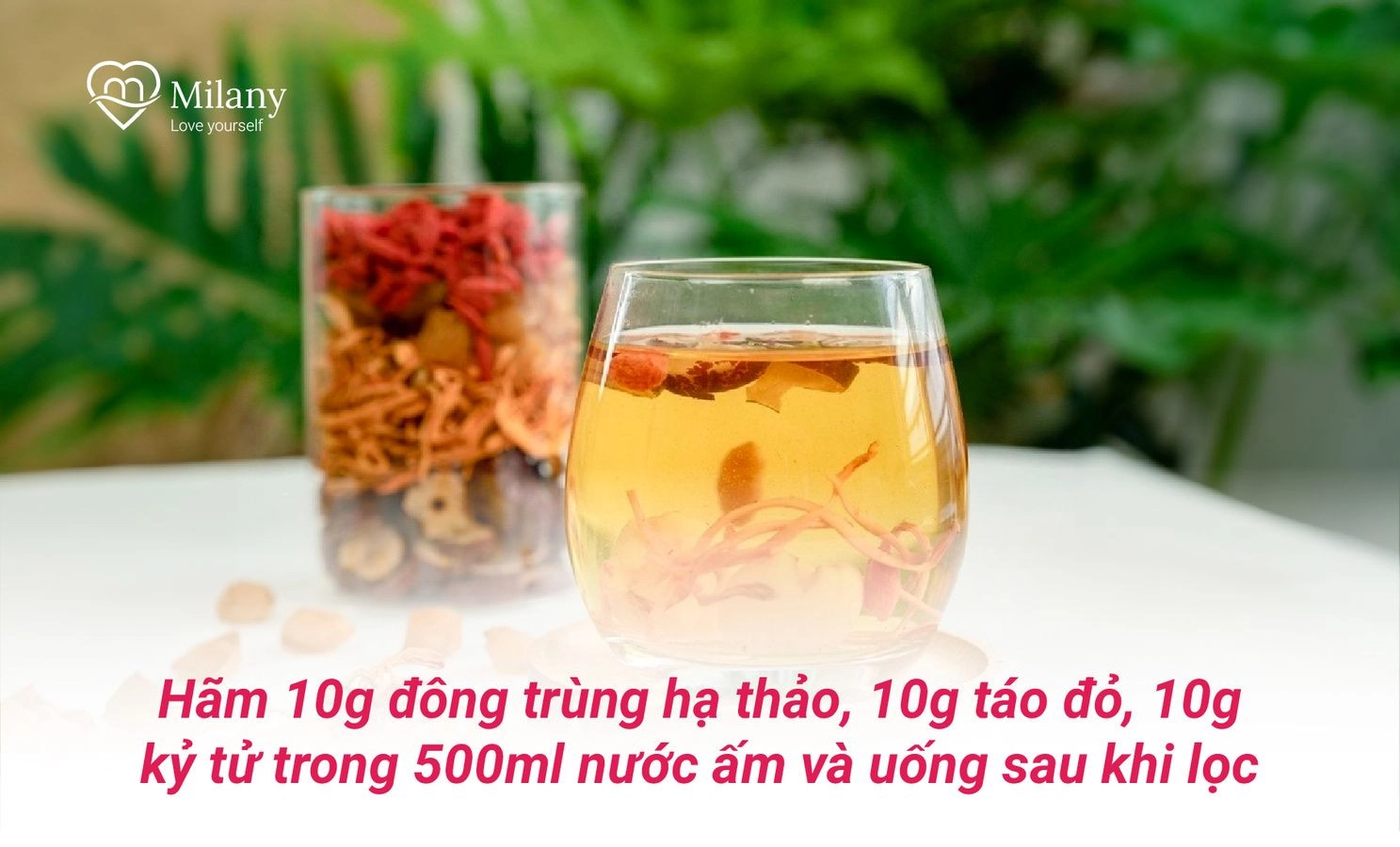 Huyết áp cao có dùng được đông trùng hạ thảo không? Cần lưu ý gì? | Milany