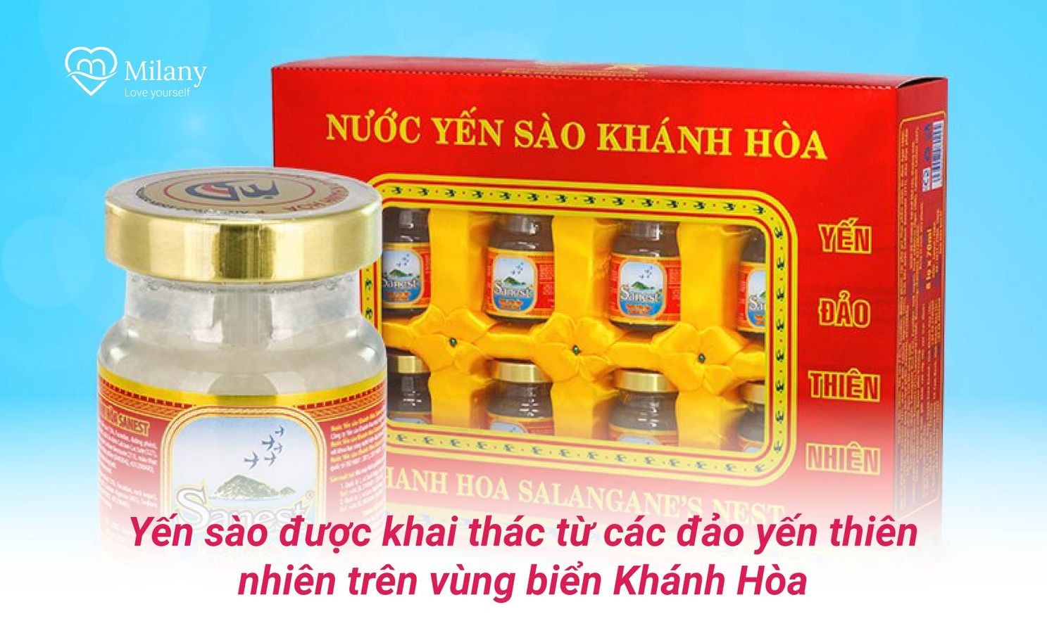 nuoc yen sao khanh hoa sanest