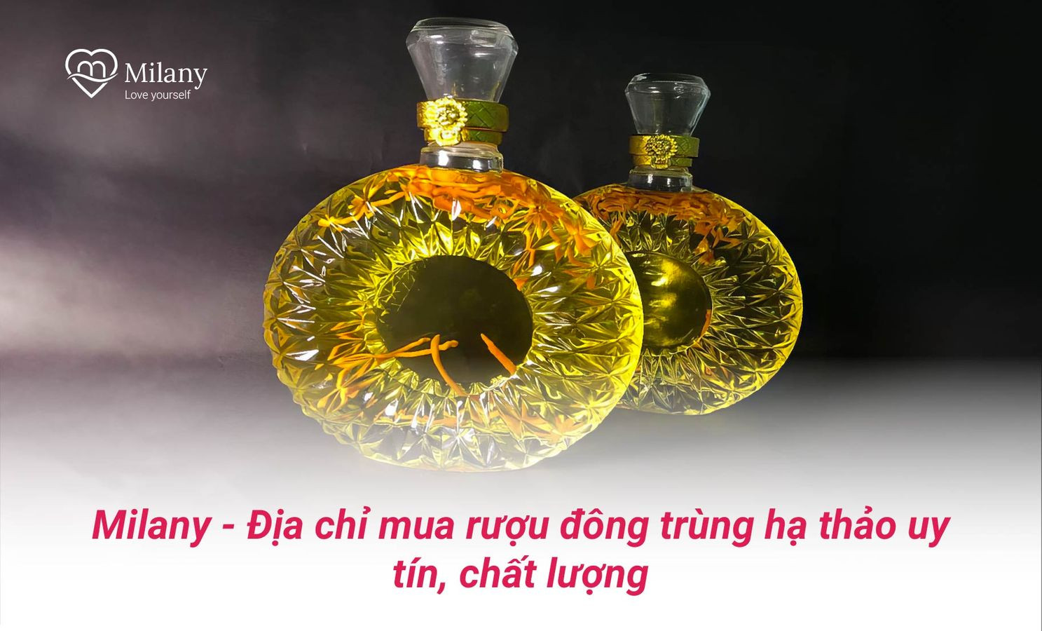 ruou dong trung ha thao 