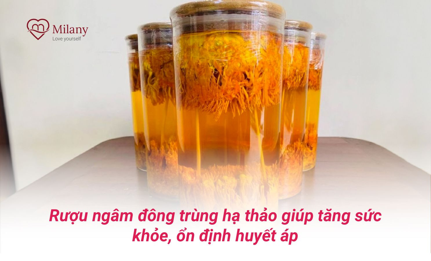 ruou ngam dong trung ha thao