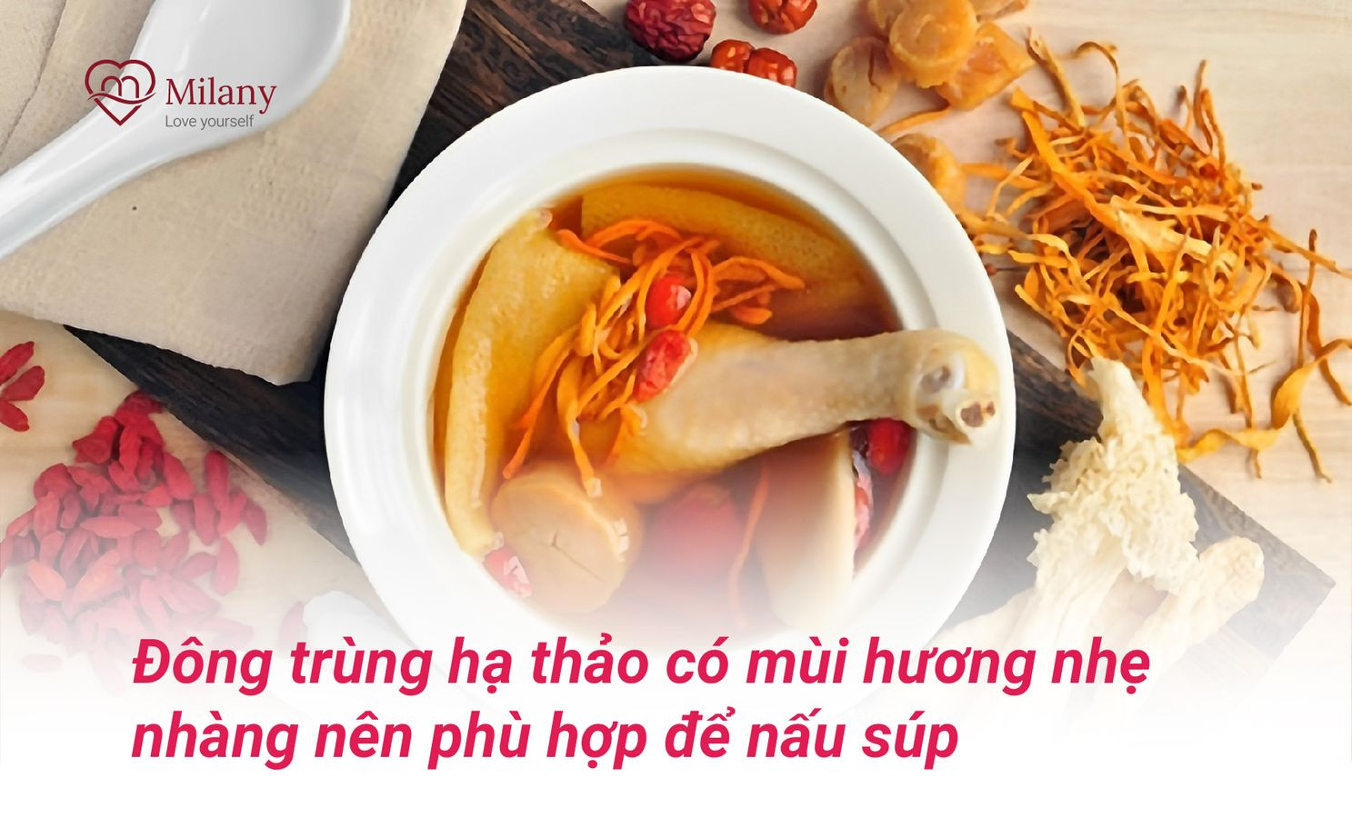 sup dong trung ha thao