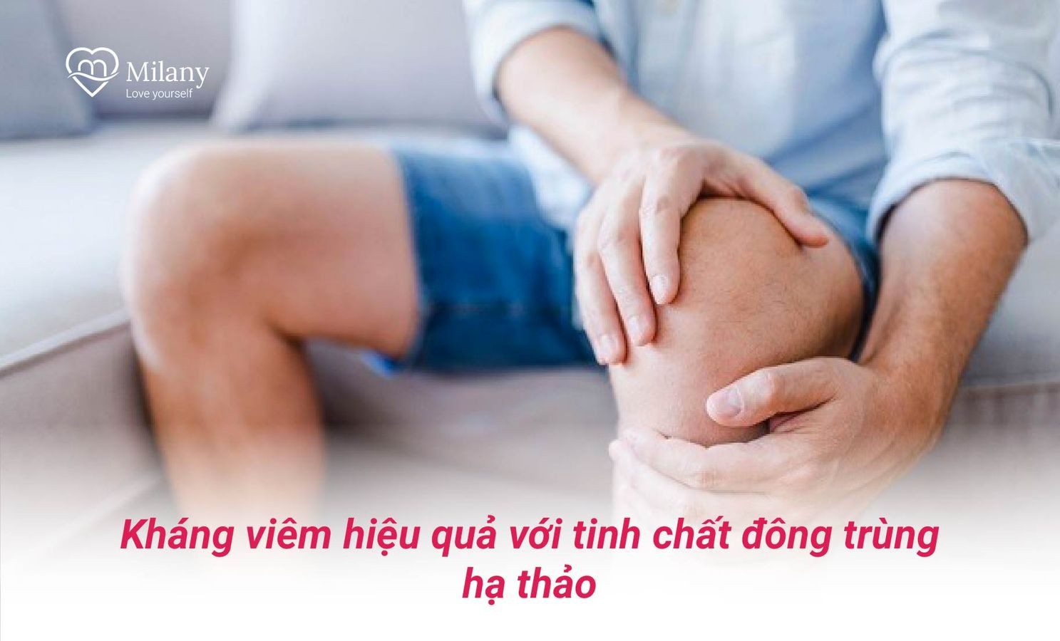 tinh-chat-dong-trung-ha-thao-giup-khang-viem-hieu-qua