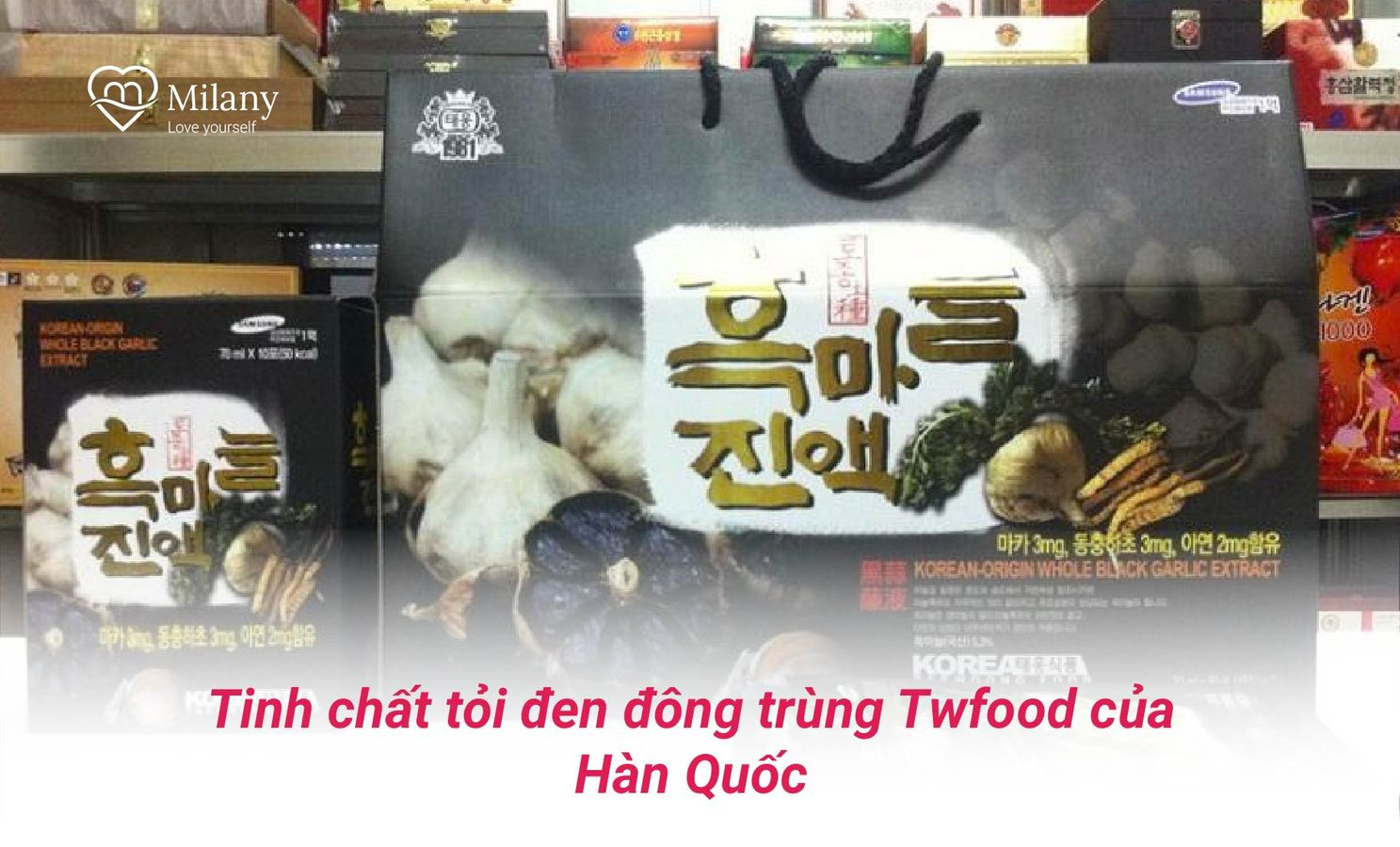 tinh-chat-toi-den-dong-trung-ha-thao-han-quoc