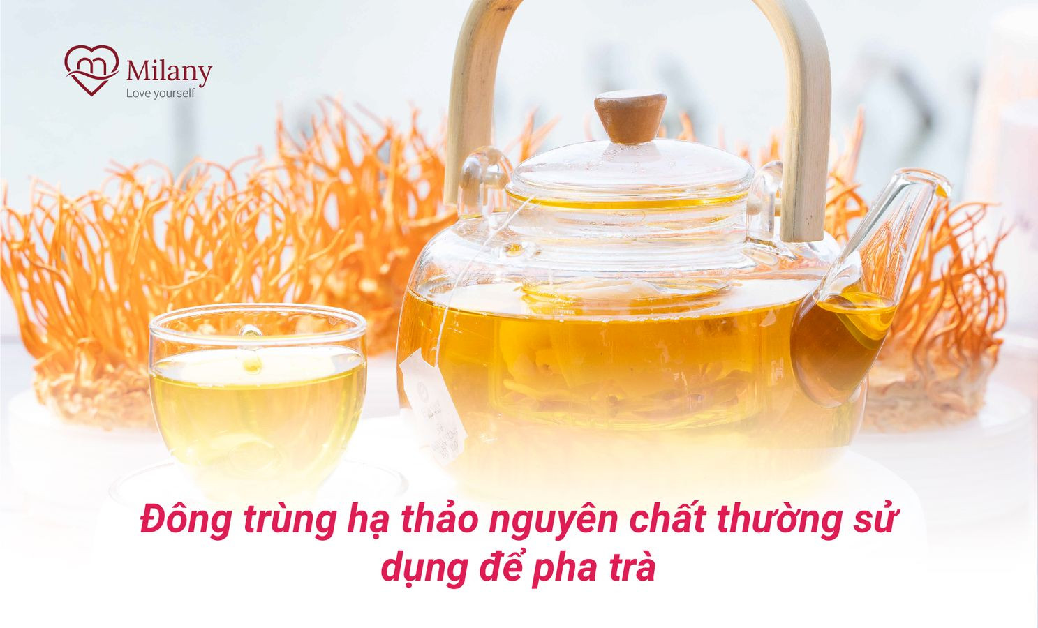 tra dong trun ha thao nguyen chat