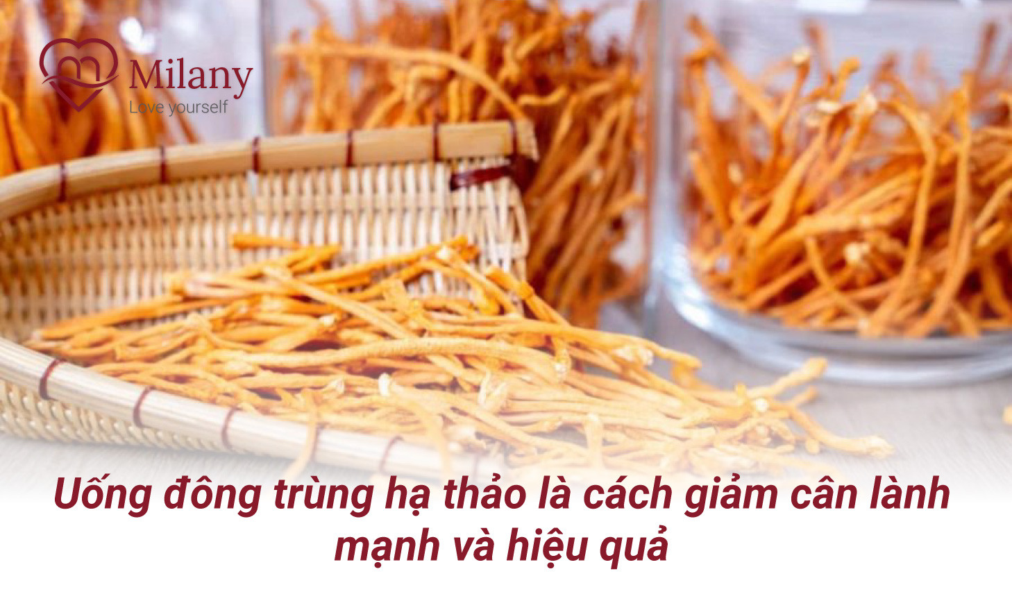giam can dong trung ha thao
