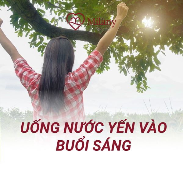 uong-nuoc-yen-dung-cach-vao-buoi-sang-1