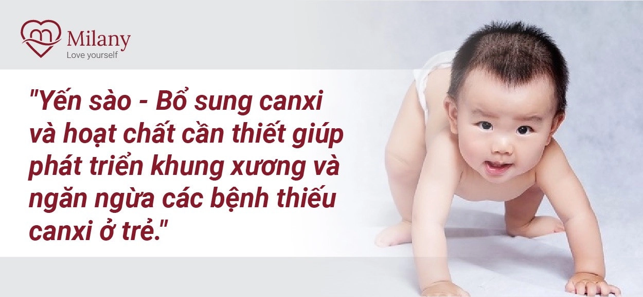 yen sao bo sung canxi ca hoat chat can thiet